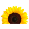 Healthproductsforyou
