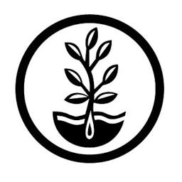 True Leaf Market